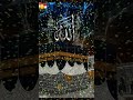 #allah #muhammad #allahmuhammad #beautiful #islamicconference #islamicvideo #subscribe