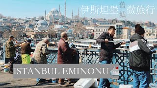 Istanbul Old City 伊斯坦堡舊城漫步土耳其人不上班只釣魚一起逛熱鬧的傳統市集