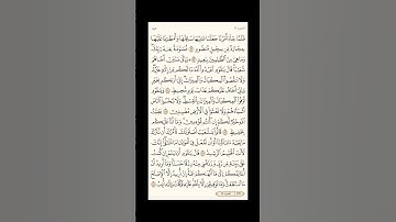 الورد اليومي: 4 صفحات (229-230-231-232) لتجنب هجر القرآن | تذكير يومي مستمر #قرآن #تلاوة