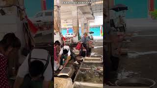 Cute Mexica Plush Dancing Cactus Electric Plush Toy  funny laugh prank  I Didnt Say  P394