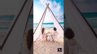 VidReel App | Make Whatsapp Status and Instagram Reels | Vidreel beat music video maker editor screenshot 3