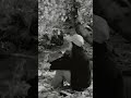 مولد الحضرة وائل الغمراوي وباسط مصر 