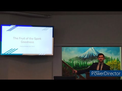 Video preview