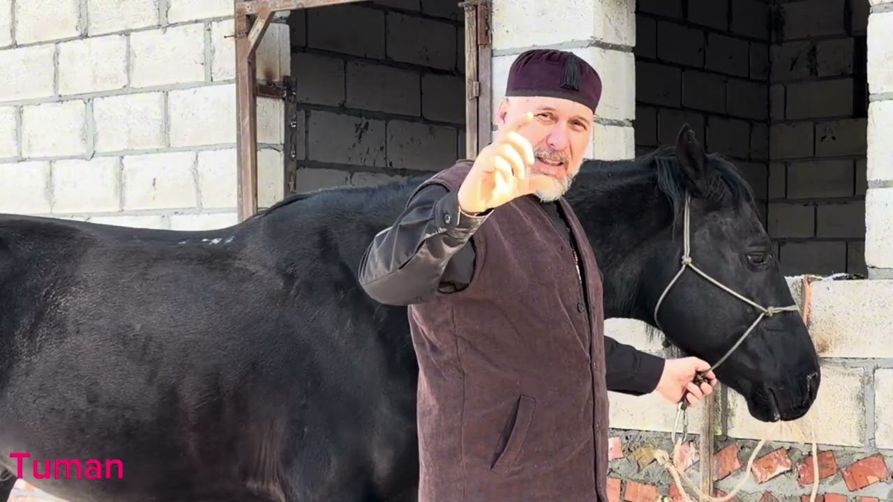 Очень полезно знать ! Для Лошадей