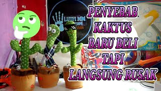 Penyebab kerusakan boneka kaktus yang baru beli | Cara memperbaiki boneka kaktus