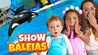 Um Dia Inteiro No Seaworld Orlando Com A Família Bella E Lucca Show