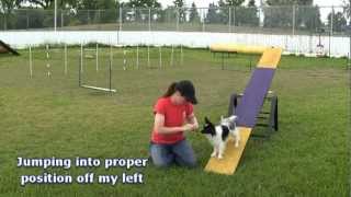 Quasi(teeter) - Session 1
