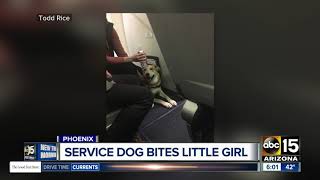 Young girl injured by service dog on Southwest Airlines flight from Phoenix