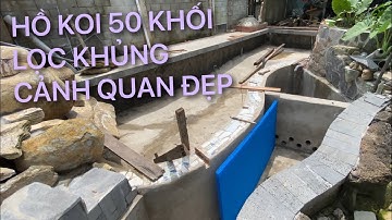 HỒ KOI 50 KHỐI LỌC KHỦNG || CÁ KOI VLOG TRẦN ĐỨC CƯỜNG