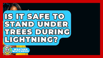 Is It Safe To Stand Under Trees During Lightning? - Weather Watchdog