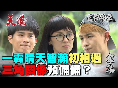 天道 EP42 完整版｜一霖晴天智瀚初相遇｜FIGHT FOR JUSTICE｜【365 PLUS燃魔女膠囊】