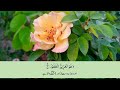 Surah Mulk ( Al Mulk ) with Urdu translation | Beautiful Quran | Quran with Urdu-Hindi Translation Mp3 Song