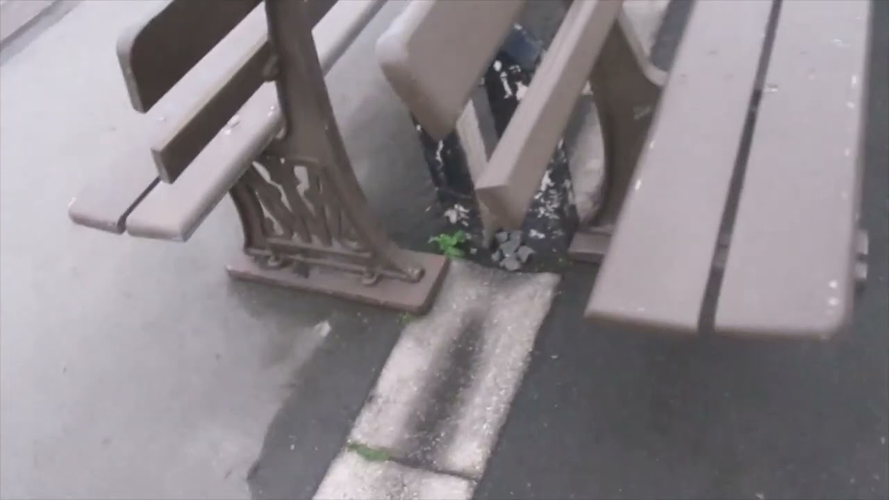 duck duck bam bam bam bam