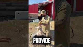 Inside SDR’s next virtual training module- processing chickens.  #chickenprocessing #farmtotable