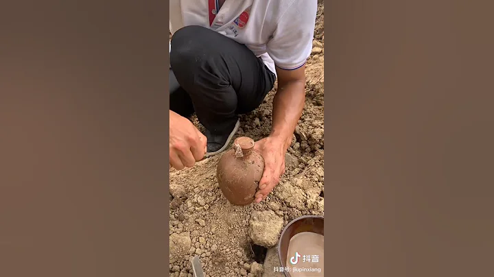 100 years old white wine bury underground #shorts - DayDayNews
