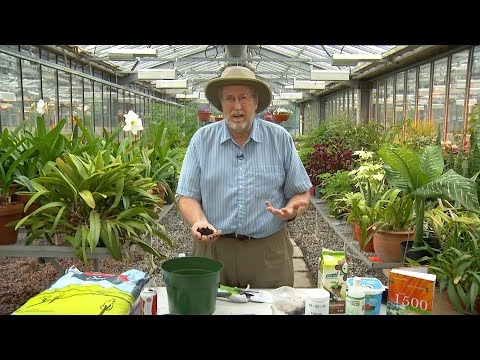 Vidéo: Mythes Du Jardinage Biologique