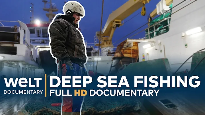 DEEP SEA FISHING - Hard Work On The High Seas | Full Documentary - DayDayNews