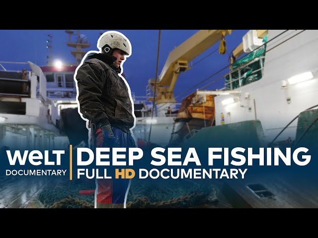 DEEP SEA FISHING - Hard Work On The High Seas | Full Documentary class=