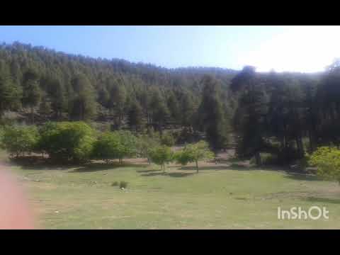 اغنية أنا بغيتك أمور رومانسي جدا