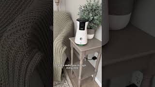 Your Pet's Constant BFF, Around the Clock! | WaggleCam 2.0 | Waggle