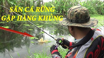 CÂU CÁ LÓC \ SĂN CÁ LÓC KHỔNG LỒ LÂU NĂM Ở U MINH THƯỢNG -  Pou Phung Fishing Phần 02