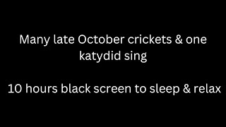 Many October crickets &amp; one katydid sing, cricket sounds 10 hours black screen to sleep &amp; relax