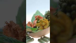 Discover the Magic of Herbal Medicine: Unveiling Ancient Healing Secrets!
