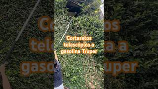 Cortasetos A Gasolina Truper herramientas carpinteria jardin