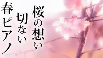 切ないbgm Youtube