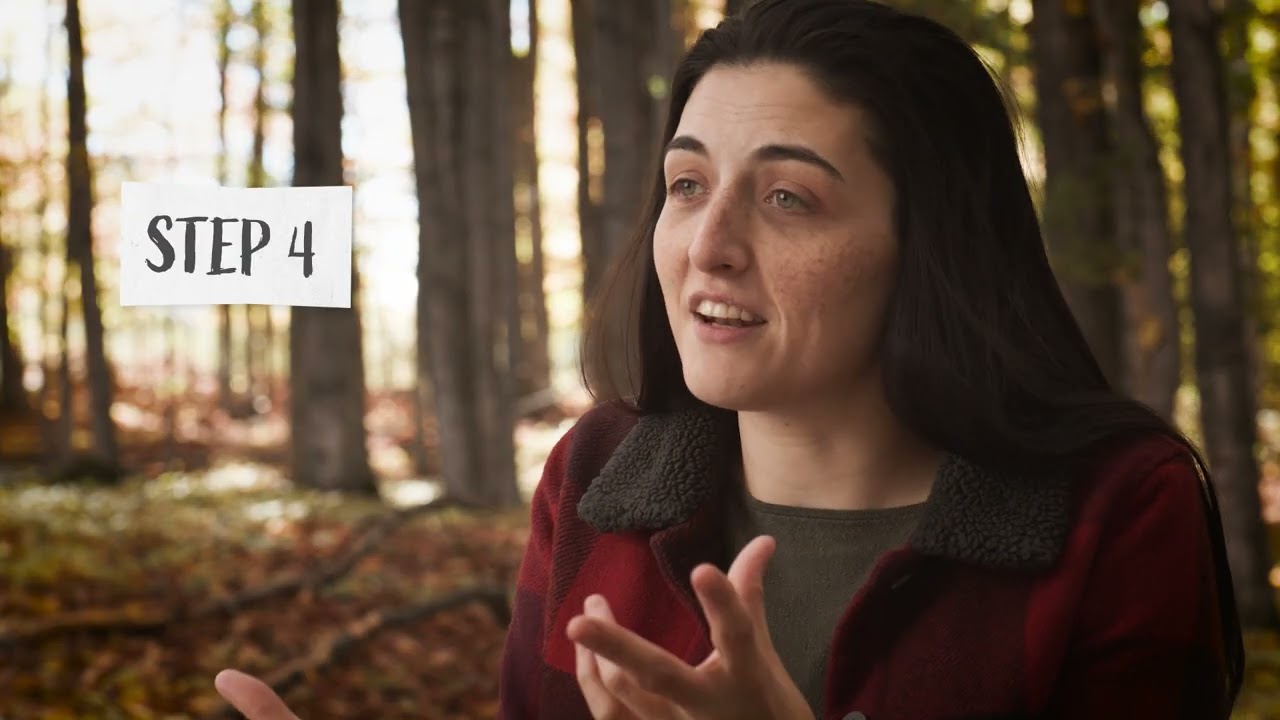 How does the Family Forest Carbon Program Work?