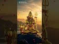 #ohm nama shivaya#