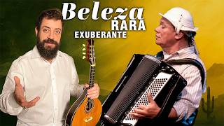 Por que Dominguinhos é um ÍCONE da MÚSICA INSTRUMENTAL brasileira