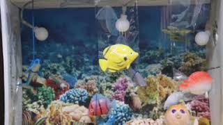 Aquatic habitat school project ideas#water animals#diorama