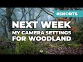 Coming Next Week on Robert Bishop Photography | #Shorts