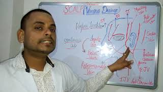 Venous Drainage of SCALP : Simplified Diagram Explanation