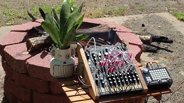 Make Noise Strega and Ø Ctrl w/ Empress Effects ZOIA