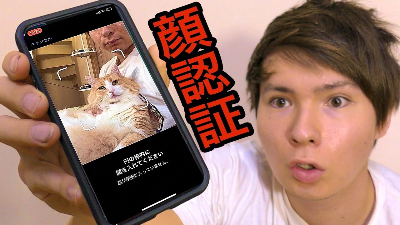 Iphonexの顔認証は猫や犬でも出来るか 検証 Pds Youtube