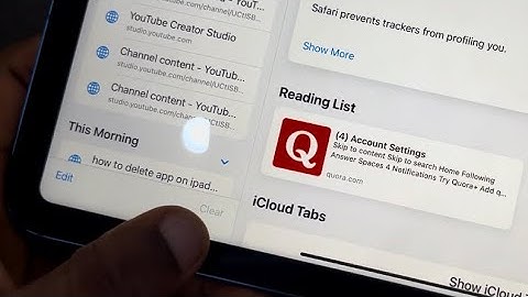 iPadOS 18: How to Fix Clear History Greyed Out in Safari on iPad