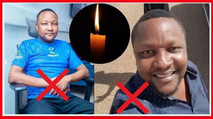 Orgimchak odam va oq yolbars porno video