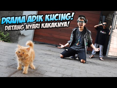 DRAMA ADIK KEMBAR POOM DATANG NYARI KAKAKNYA YANG UDAH TIDAK ADA!!! SEDIH BOCIL SAMPE NANGIS!!!