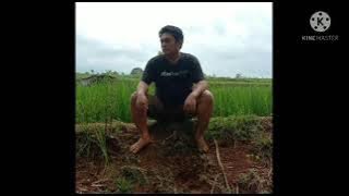 KUKAN BERLARI .voc Bambang PL cipt.Pdt petrus soebandi