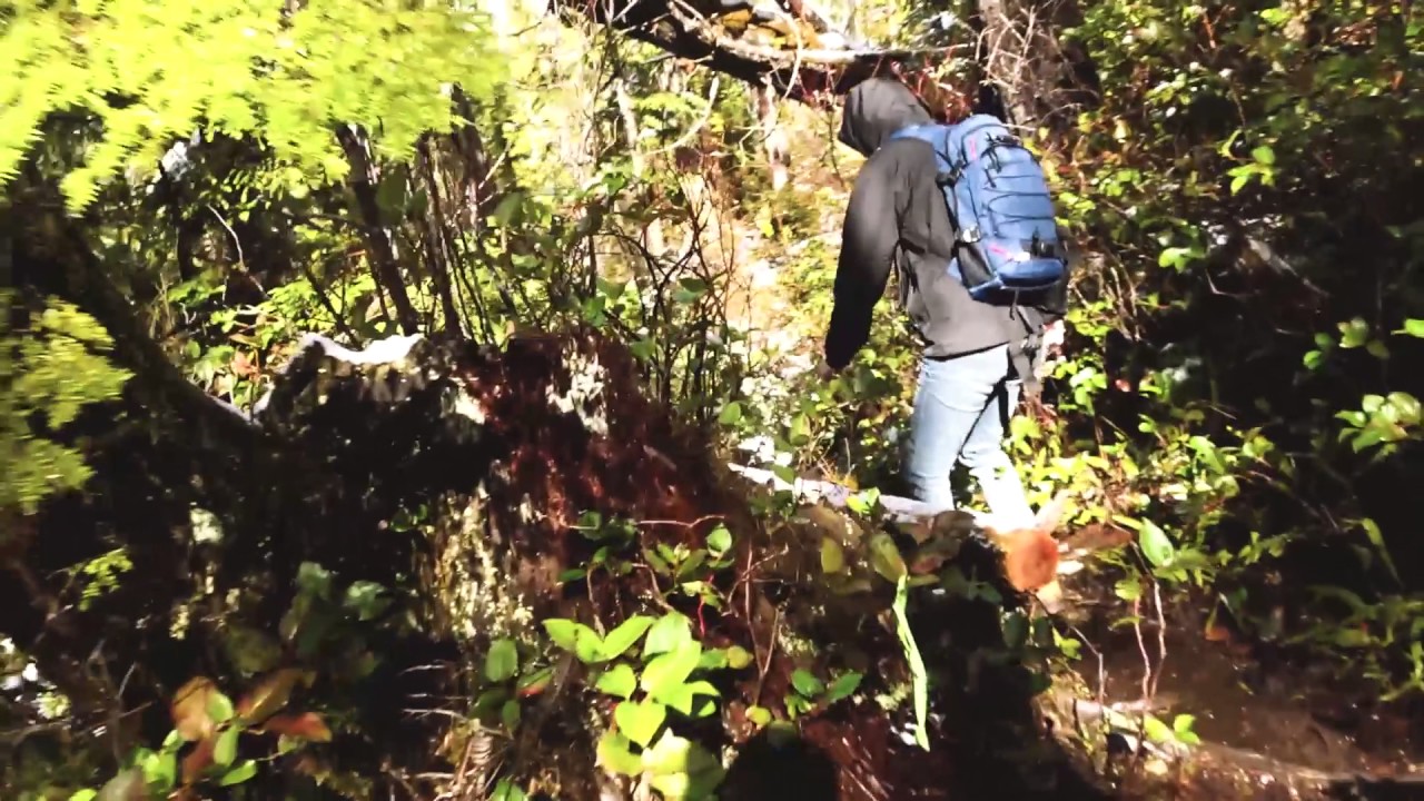 Little Trip to Lone Cone Mountain