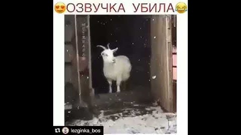 Прикол озвучка убила какая хорошая погода