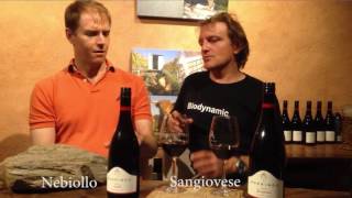 Ngeringa Italian Variety Biodynamic Wine Tasting Comparison