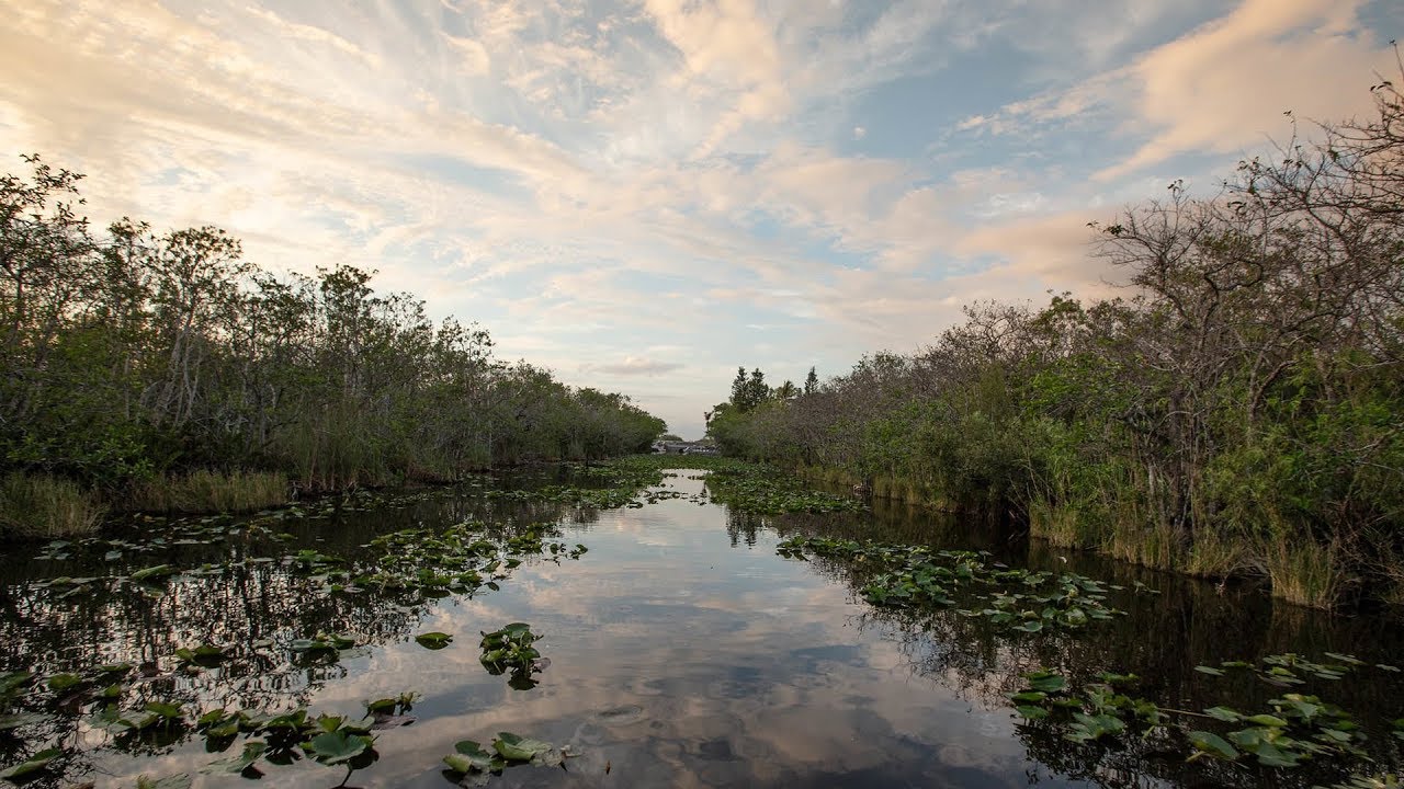 Miami EcoAdventures YouTube