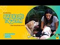 Documentary on a pet bakery in mumbai  short film  2023  by pinkchampagnefilms