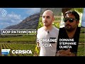 Laop patrimonio avec les domaines leccia et stphanie olmeta