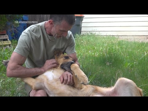 Group fosters pets for people recovering from drug, alcohol addiction