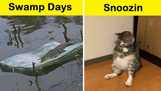 Pics Of Animals Being Their Hilarious Selves To Make Your Day || Funny Daily by Funny Daily 9,238 views 5 days ago 10 minutes, 17 seconds