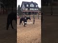 Gotta love this mare